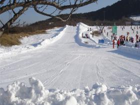 深圳市顺义区旅游行业协会到莲花山滑雪场走访调研