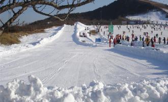 深圳市顺义区旅游行业协会到莲花山滑雪场走访调研