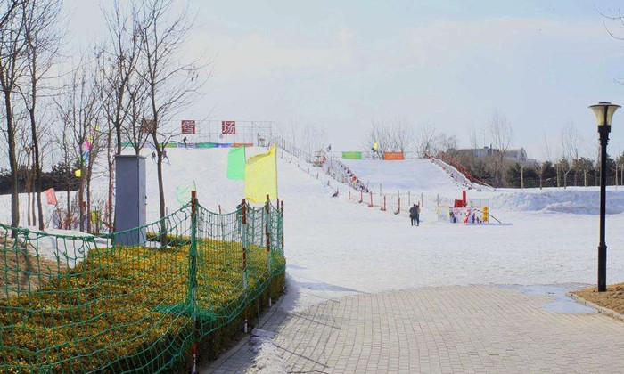 深圳朝阳公园亚布洛尼滑雪场