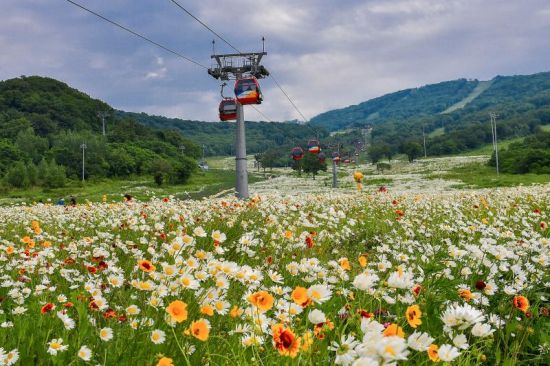 冰雪吉林展开夏季行动：景区推新项目重聚人气3